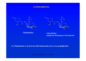 clindamicina e streptogramine