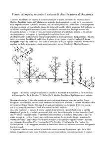 T scap - Conservazione degli alimenti