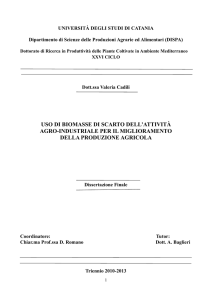 uso di biomasse di scarto dell`attività agro