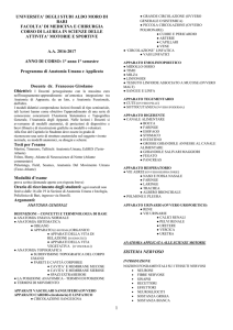 programma anatomia SAMS 16-17