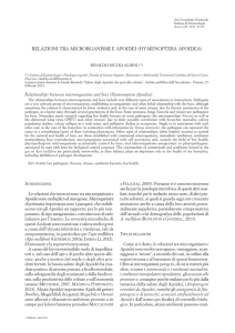 NICOLI ALDINI R. - Relazioni tra microrganismi e Apoidei