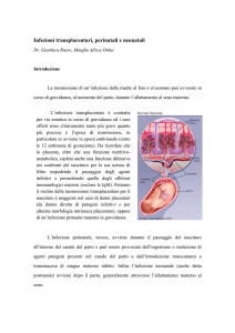 Apri Documento - Mingha Africa Onlus