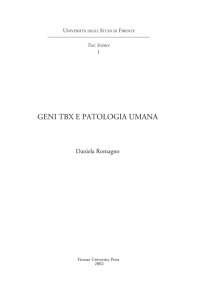 Tesi Romagno - Firenze University Press