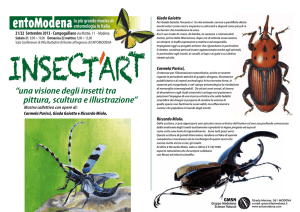 “una visione degli insetti tra pittura, scultura e illustrazione”