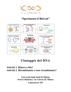 progetto relay