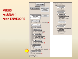 Diapositiva 1