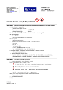 scheda di sicurezza pk 991 c