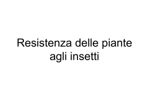 Resistenza delle piante agli insetti schede