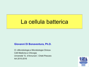 1 MEDICINA cellula batterica