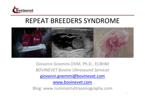 REPEAT BREEDER SYNDROME