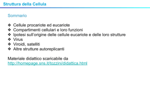 Struttura della Cellula