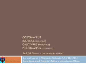 coronavirus reovirus - Sezione di Microbiologia
