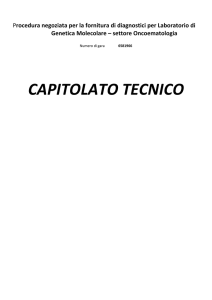 capitolato tecnico