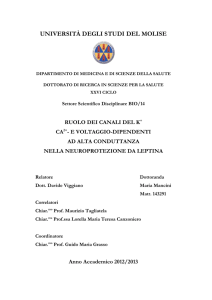 universit&agrave; degli studi del molise