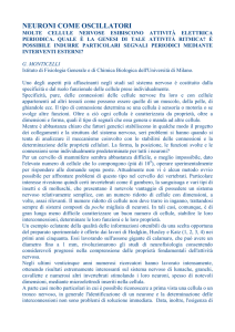 neuroni come oscillatori - Web server per gli utenti dell`Universit&agrave;