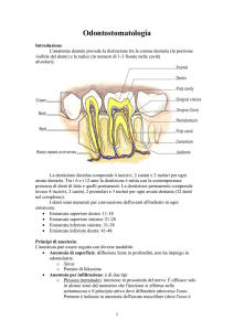 Odontostomatologia