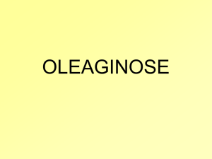 OLEAGINOSE