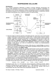 respirazione cellulare