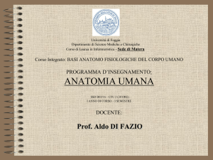 intestino tenue - Dott. Aldo Di Fazio