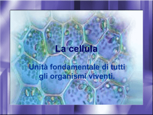 La cellula