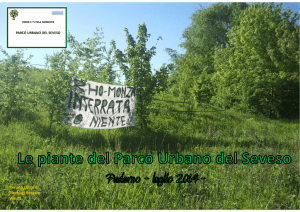 2) Piante del parco del seveso