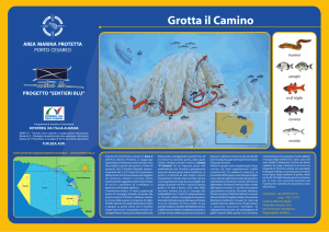 Grotta il Camino - Orca diving center