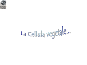 02 - Cellule - sciunisannio.it