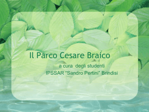 Il Parco Cesare Braico