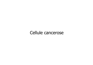 cancer cell - Facoltà di Medicina e Chirurgia