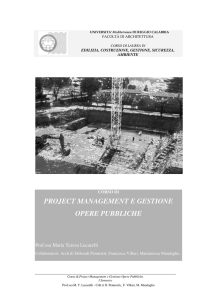 project management e gestione opere pubbliche