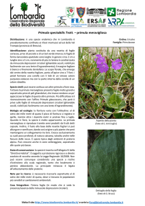 Scarica il pdf - www biodiversita lombardia it