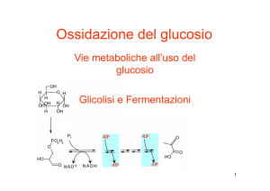 Ossidazione del glucosio