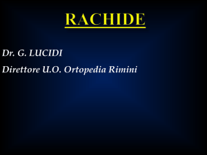 Il Rachide - Dr. Lucidi Giannicola