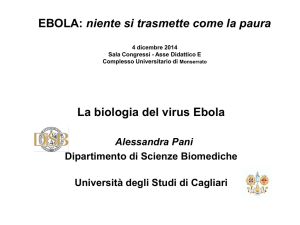 Ebola 1 - Dipartimenti