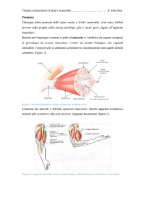 7-Traumi muscolari