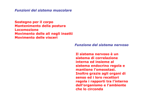 Sistema muscolare e Sistema nervoso I