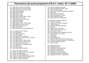 Panoramica dei acuto-programmi di BAT (stato