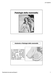 Patologie della mammella