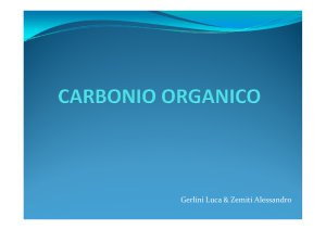 Determinazione del carbonio organico