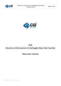 SDS (Scarico informazioni di dettaglio Basi Dati Sanità) Manuale