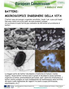 batteri: microscopici ingegneri della vita