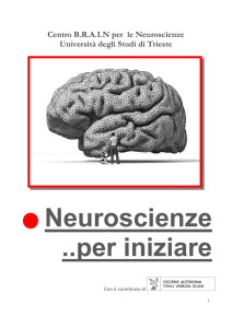 Neuroscienze ..per iniziare