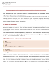 L`infezione congenita da Citomegalovirus: il virus, la trasmissione e