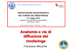 Anatomia e vie di diffusione del rinofaringe