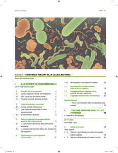 struttura e funzioni della cellula batterica 2. struttura e