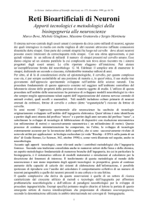 Reti Bioartificiali di Neuroni Apporti tecnologici e metodologici della