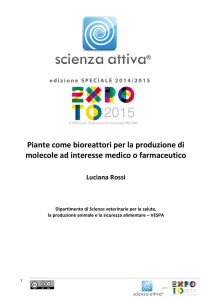 Piante come bioreattori per la produzione di molecole ad interesse