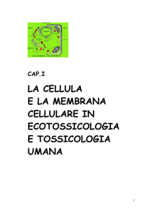 la cellula e la membrana cellulare in ecotossicologia e tossicologia