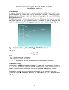 Determinazione delle legge di Michaelis