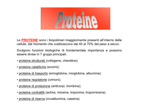 4 proteine enzimi inf 2014 - Corso di Laurea in Infermieristica